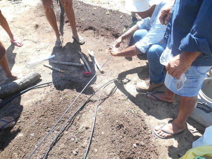 CODEVASF instala kits de irrigação em Francinópolis - Imagem 1