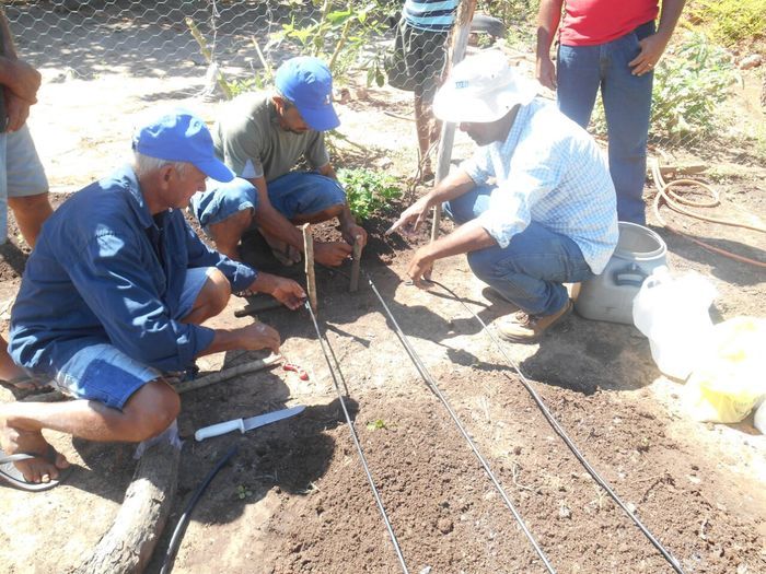 CODEVASF instala kits de irrigação em Francinópolis - Imagem 20