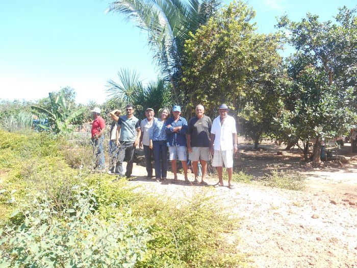 CODEVASF instala kits de irrigação em Francinópolis - Imagem 15