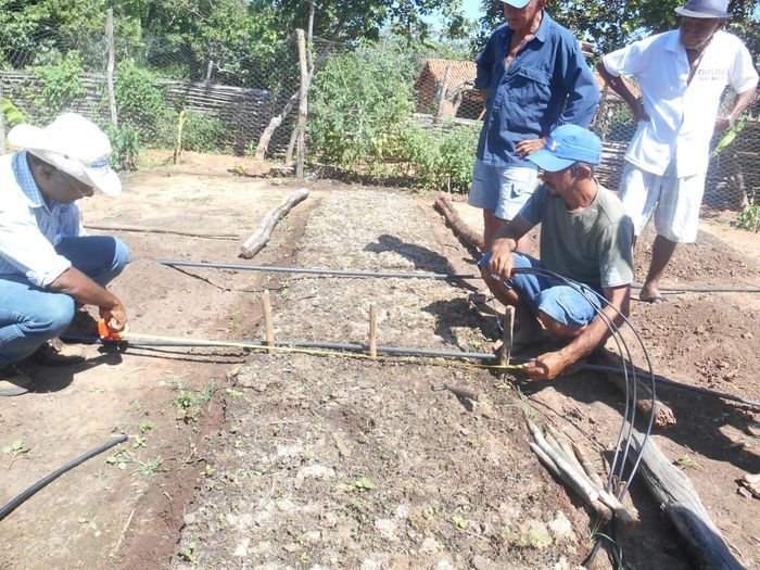 CODEVASF instala kits de irrigação em Francinópolis - Imagem 36