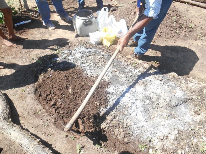 CODEVASF instala kits de irrigação em Francinópolis - Imagem 23