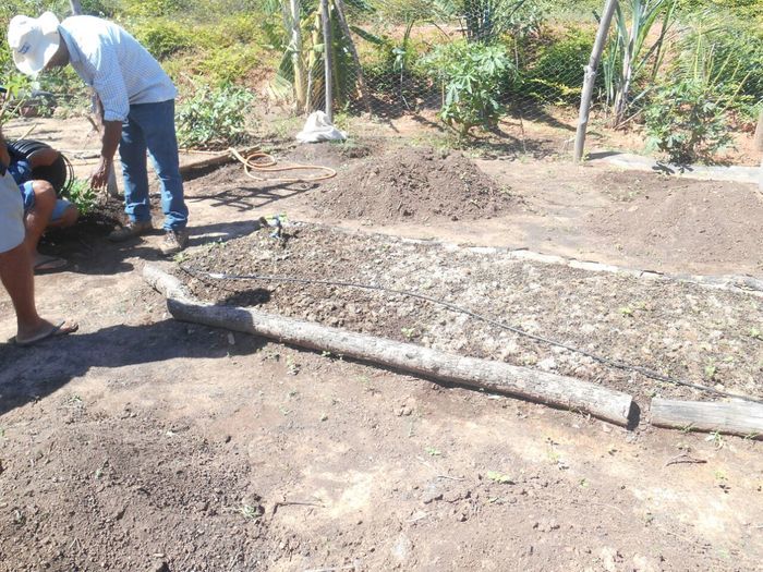 CODEVASF instala kits de irrigação em Francinópolis - Imagem 31