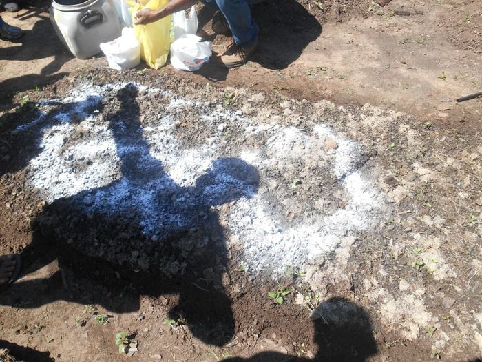 CODEVASF instala kits de irrigação em Francinópolis - Imagem 39