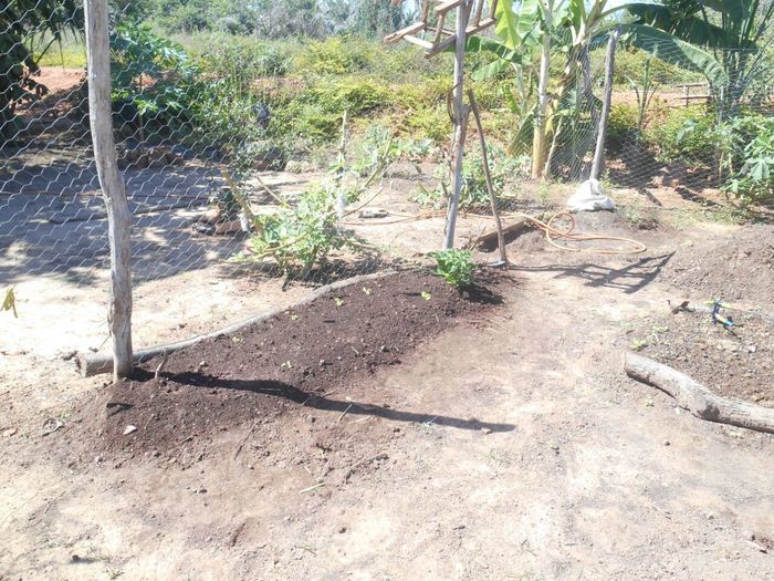 CODEVASF instala kits de irrigação em Francinópolis - Imagem 14