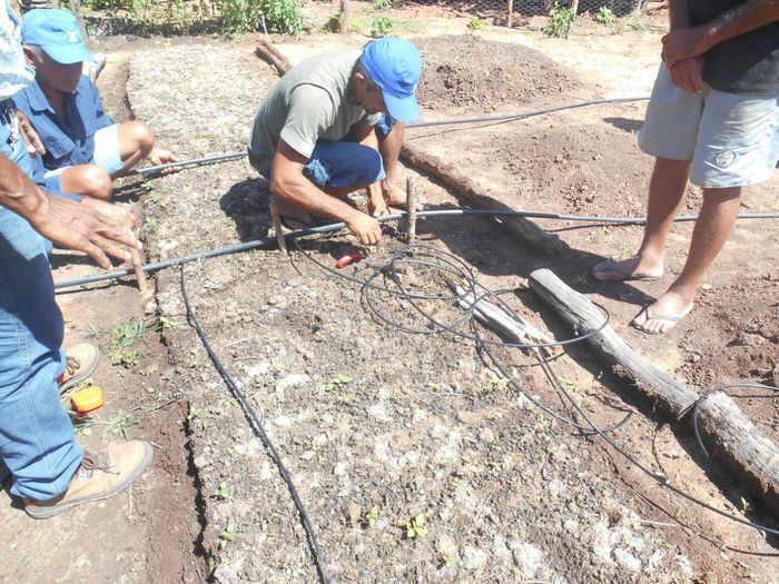 CODEVASF instala kits de irrigação em Francinópolis - Imagem 34