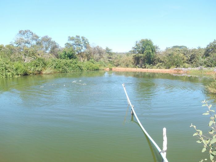 CODEVASF instala kits de irrigação em Francinópolis - Imagem 25