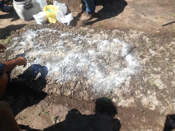 CODEVASF instala kits de irrigação em Francinópolis - Imagem 38