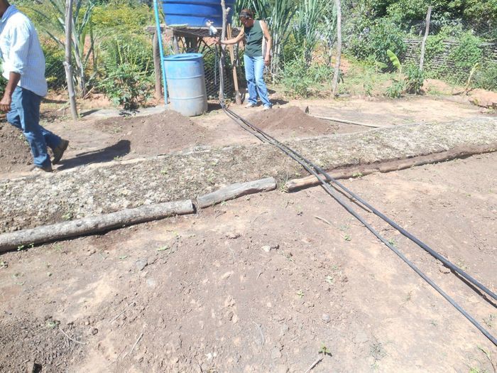 CODEVASF instala kits de irrigação em Francinópolis - Imagem 29