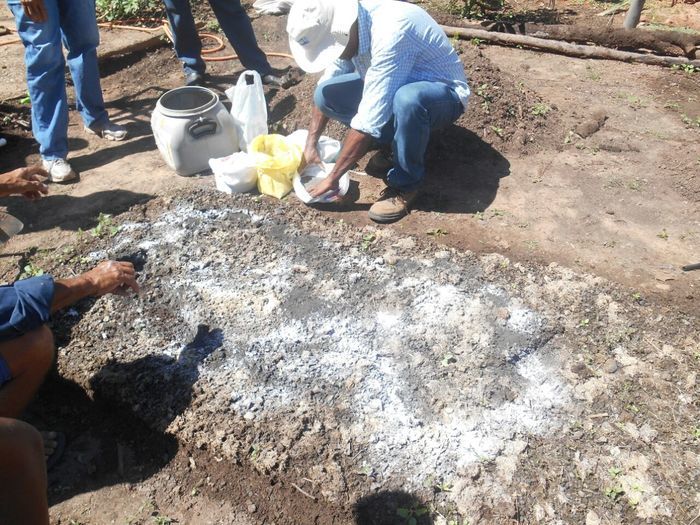 CODEVASF instala kits de irrigação em Francinópolis - Imagem 7