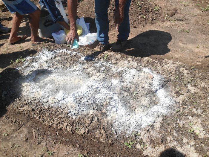 CODEVASF instala kits de irrigação em Francinópolis - Imagem 37