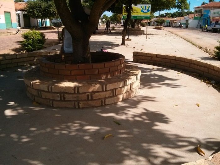 Em fase final obras de urbanização no canteiro central da Avenida Álvaro Mendes - Imagem 3