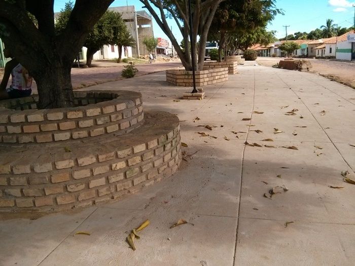 Em fase final obras de urbanização no canteiro central da Avenida Álvaro Mendes - Imagem 5