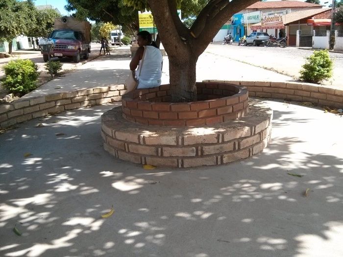 Em fase final obras de urbanização no canteiro central da Avenida Álvaro Mendes - Imagem 4