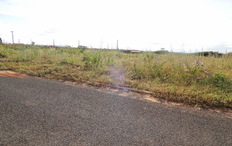 Flor de Lis últimos lotes à venda, aproveite restam apenas 50