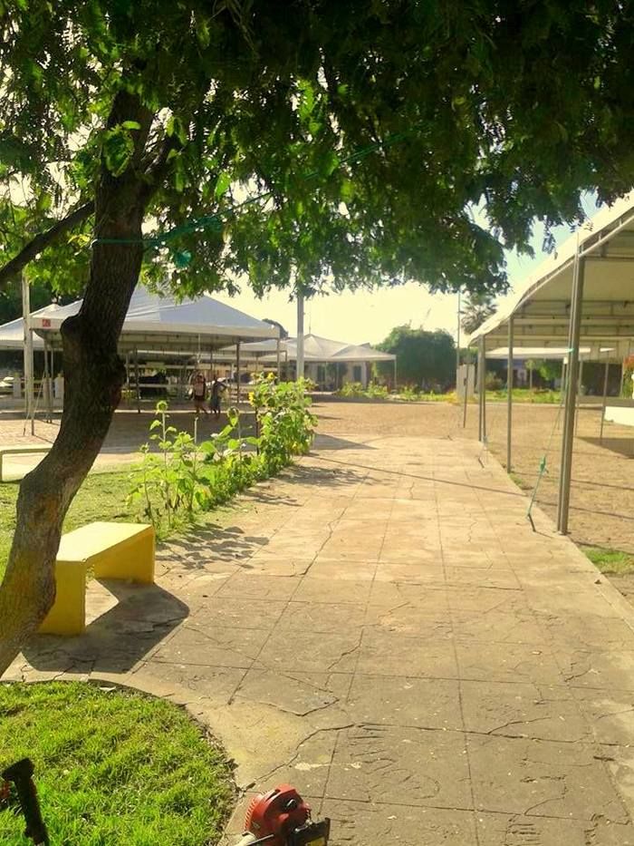 Tudo pronto! Vem aí... a ‘Ação Global’ - Imagem 1