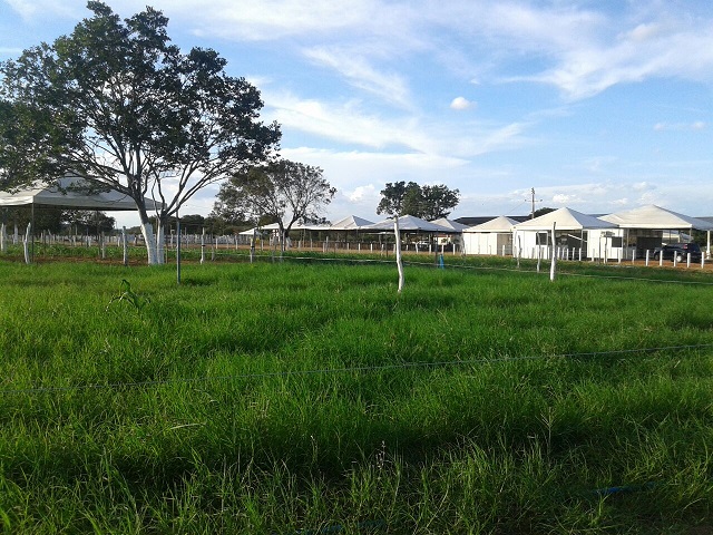 III EXPOEIRAS tem início em Oeiras - Imagem 13