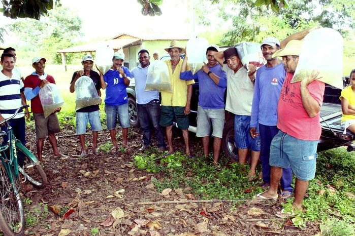  10 mil alevinos são distribuídos pela Prefeitura de Miguel Alves  para piscicultores   - Imagem 3