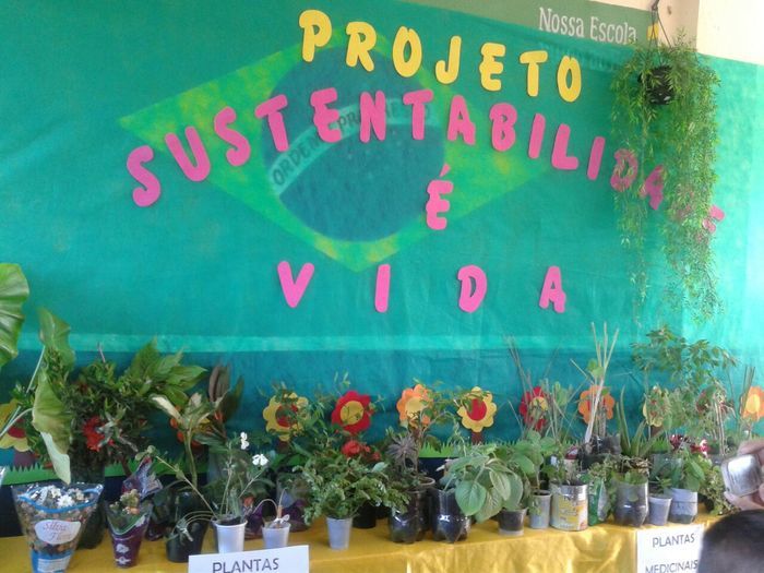 Abertura do Projeto de Ciências Sustentabilidade é Vida na Escola Raimunda Lili - Imagem 9