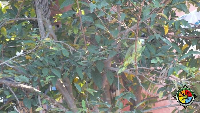 Ambientalistas aventureiros descem o rio Parnaíba em uma Jangada de Bambu - Imagem 58