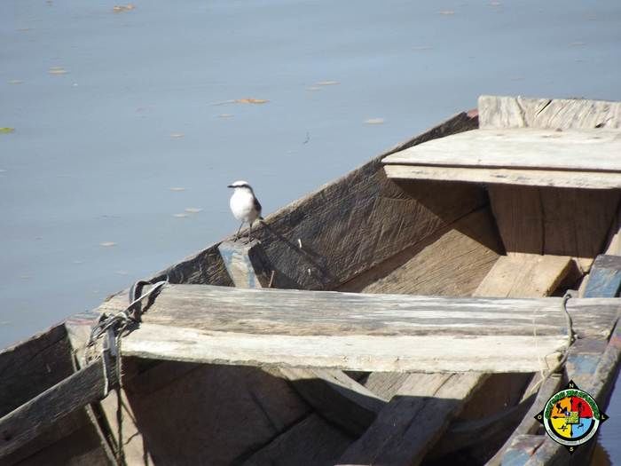 Ambientalistas aventureiros descem o rio Parnaíba em uma Jangada de Bambu - Imagem 55