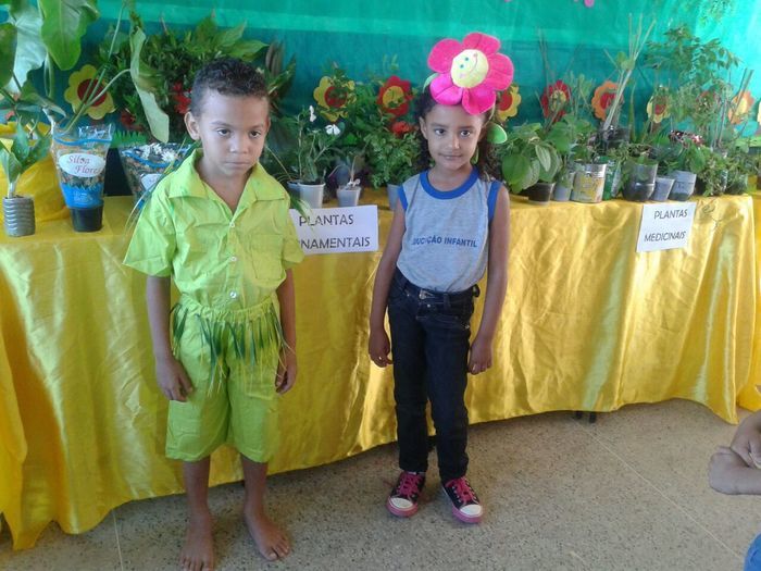 Abertura do Projeto de Ciências Sustentabilidade é Vida na Escola Raimunda Lili - Imagem 1