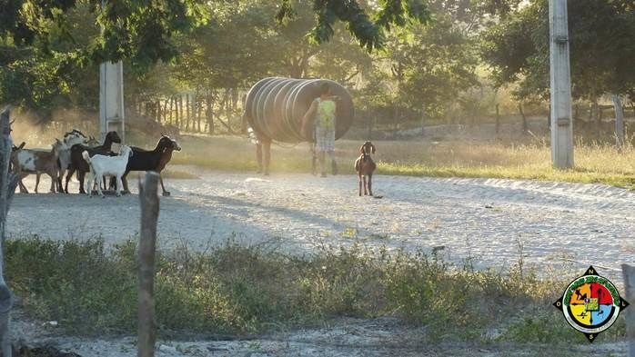 Ambientalistas aventureiros descem o rio Parnaíba em uma Jangada de Bambu - Imagem 56