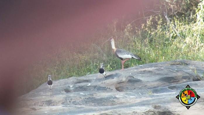 Ambientalistas aventureiros descem o rio Parnaíba em uma Jangada de Bambu - Imagem 73