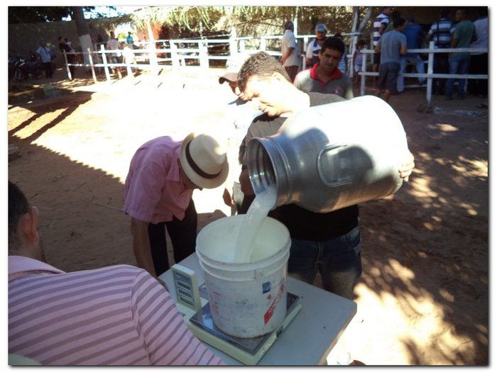 Comemoração 61 anos de Inhuma- Concurso Gado Leiteiro e Show João Cláudio Moreno  - Imagem 23