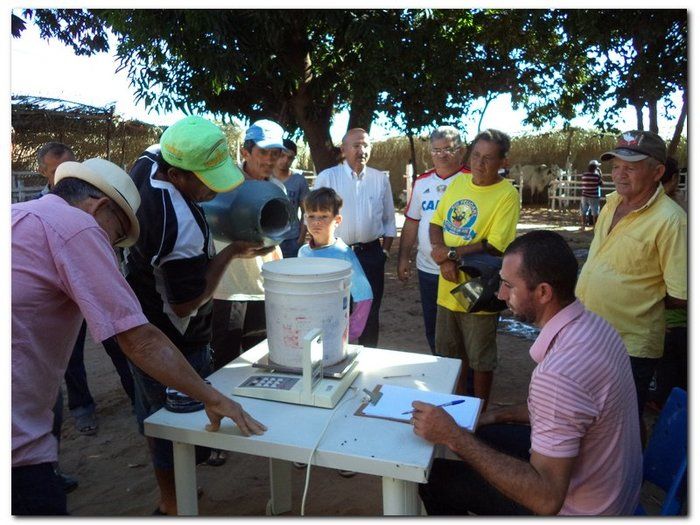 Comemoração 61 anos de Inhuma- Concurso Gado Leiteiro e Show João Cláudio Moreno  - Imagem 9