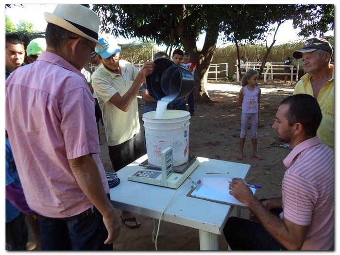 Comemoração 61 anos de Inhuma- Concurso Gado Leiteiro e Show João Cláudio Moreno  - Imagem 8
