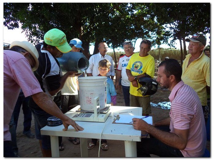 Comemoração 61 anos de Inhuma- Concurso Gado Leiteiro e Show João Cláudio Moreno  - Imagem 10