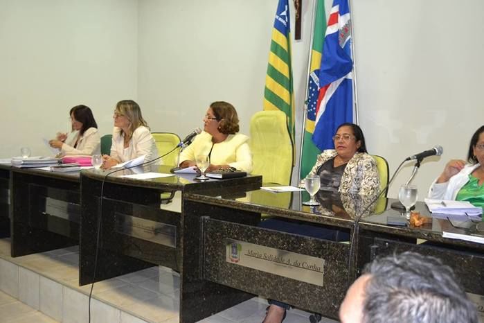 GAV participa da ‘Tribuna Livre’ na Câmara Municipal de Barras - Imagem 4