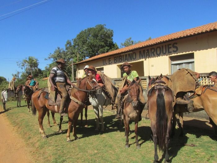 Família tuna Brito Realiza a 3º Pega de Boi na Mata em Tamboril - Imagem 4