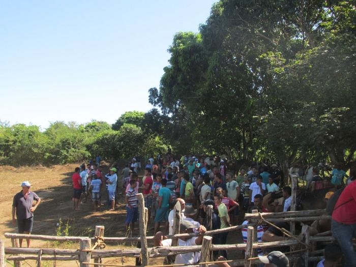 Família tuna Brito Realiza a 3º Pega de Boi na Mata em Tamboril - Imagem 16