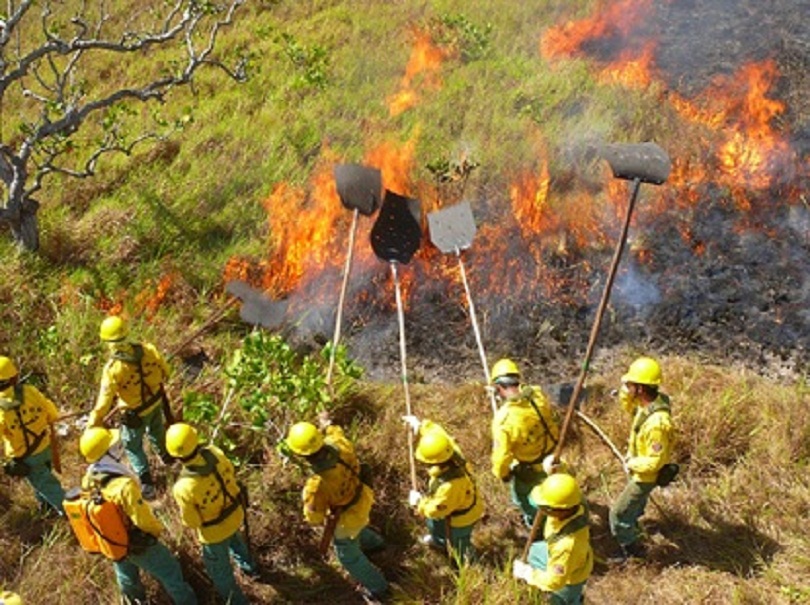 A empresa Suzano colocou uma brigada de incêndio a disposição da população de Parnarama e Matões