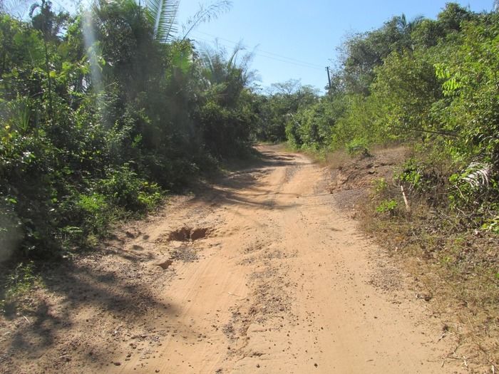 Prefeito Walter Alencar acompanha a recuperação da estrada de Mangabeira Zona rual de Agricolândia - Imagem 12