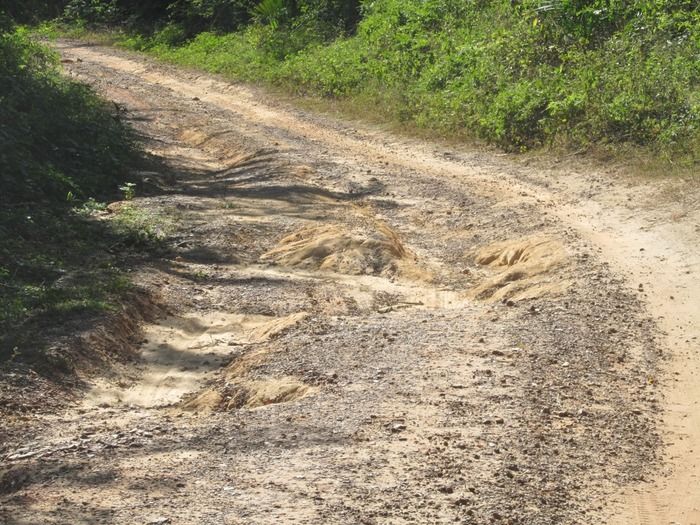 Prefeito Walter Alencar acompanha a recuperação da estrada de Mangabeira Zona rual de Agricolândia - Imagem 16