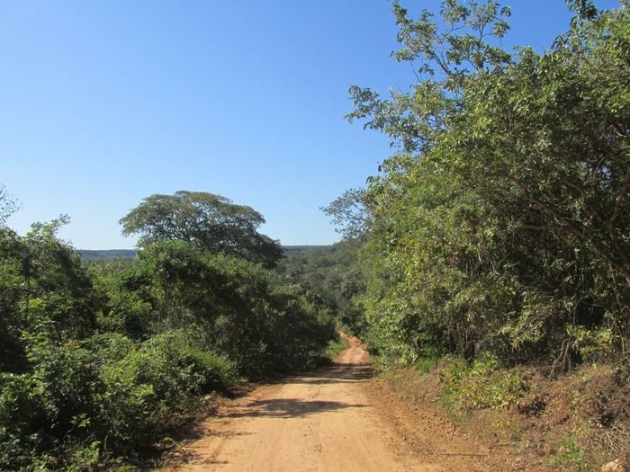 Prefeito Walter Alencar acompanha a recuperação da estrada de Mangabeira Zona rual de Agricolândia - Imagem 9