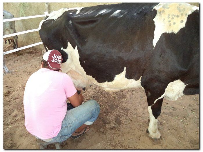 Dr. Moura presenteia população com obra nos 61 anos de Inhuma - Imagem 141