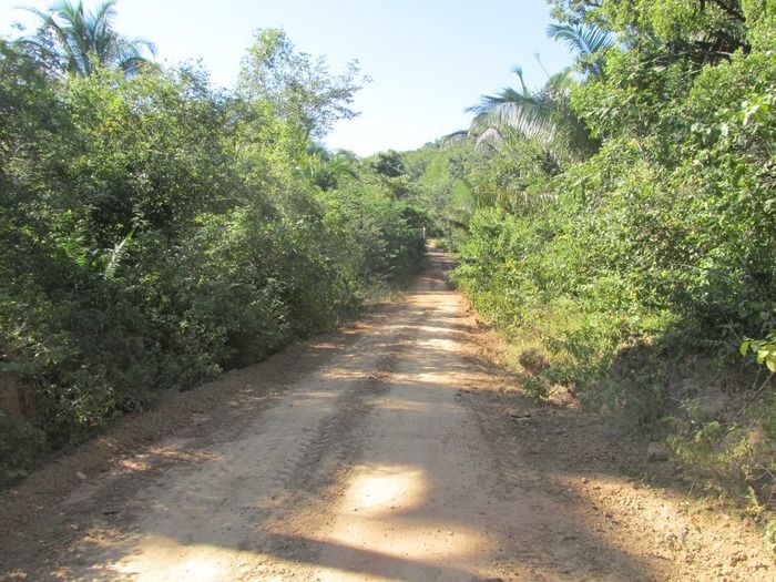 Prefeito Walter Alencar acompanha a recuperação da estrada de Mangabeira Zona rual de Agricolândia - Imagem 10