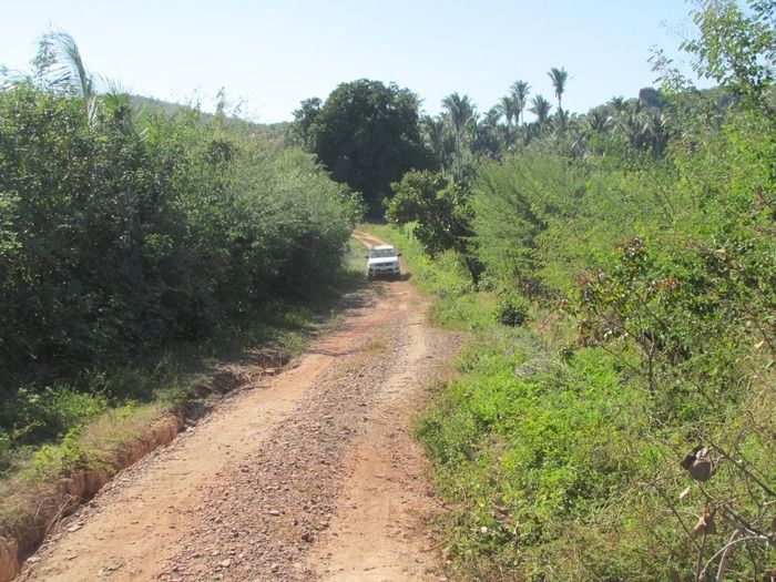 Prefeito Walter Alencar acompanha a recuperação da estrada de Mangabeira Zona rual de Agricolândia - Imagem 15