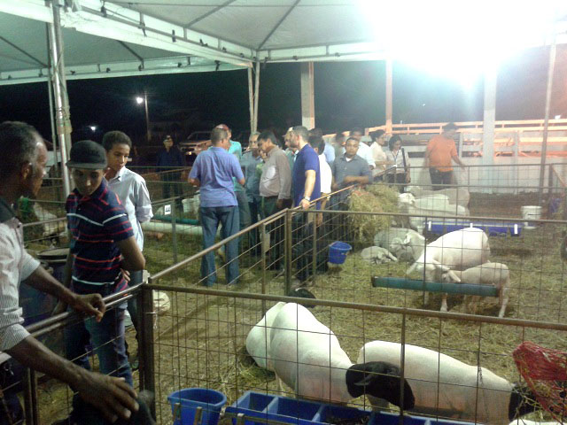 Wellington Dias visita EXPOEIRAS e doa tratores para produtores primários - Imagem 15