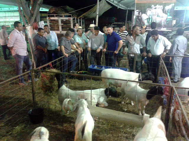 Wellington Dias visita EXPOEIRAS e doa tratores para produtores primários - Imagem 20
