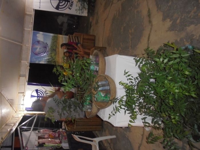 Confira imagens da 1º Feira Territorial da Agricultura Familiar de São Pedro do Piauí - Imagem 111