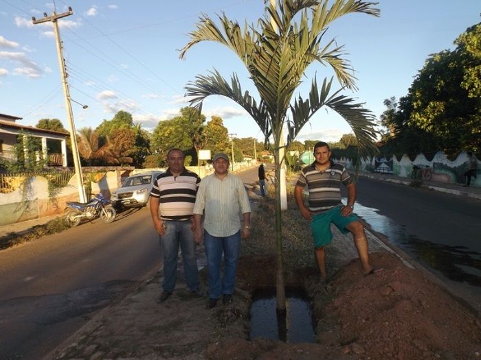Prefeitura intensifica serviços de urbanismo e paisagismo na cidade de Redenção do Gurguéia - Imagem 1