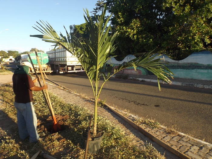 Prefeitura intensifica serviços de urbanismo e paisagismo na cidade de Redenção do Gurguéia - Imagem 5