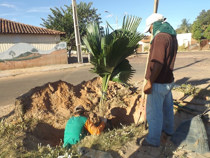 Prefeitura intensifica serviços de urbanismo e paisagismo na cidade de Redenção do Gurguéia - Imagem 3