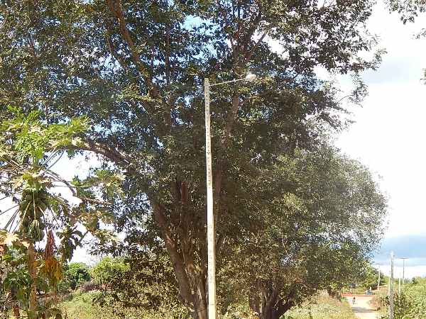 Prefeitura faz ampliação de Iluminação no Município - Imagem 6