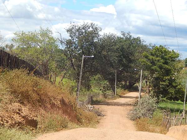 Prefeitura faz ampliação de Iluminação no Município - Imagem 5