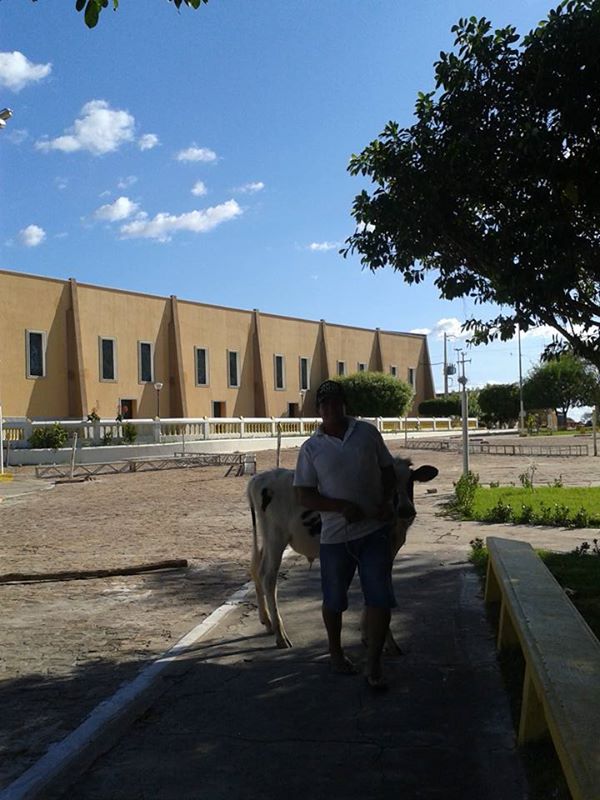 Bingo beneficente para Francisco Edílson (Banana) acontecerá hoje, 27. - Imagem 6
